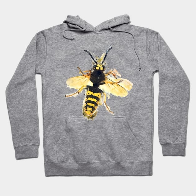 Wasp art #wasp Hoodie by JBJart